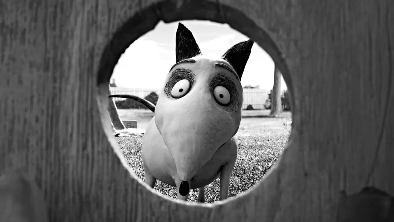 Frankenweenie Backdrop