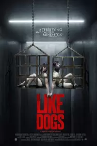 Like Dogs Poster