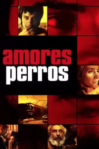 Amores perros Poster