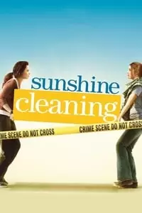 Sunshine Cleaning Poster