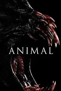 Animal Poster