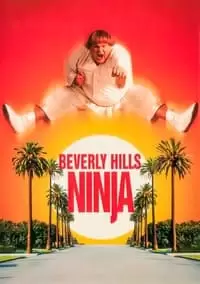 Beverly Hills Ninja Poster