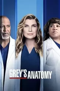 Grey's Anatomy Poster