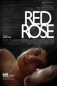 Red Rose Poster