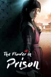 The Flower in Prison Poster