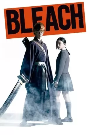 Bleach Poster