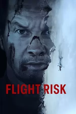 Flight Risk Poster