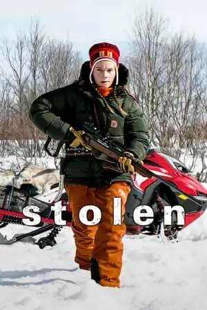 Stolen Poster