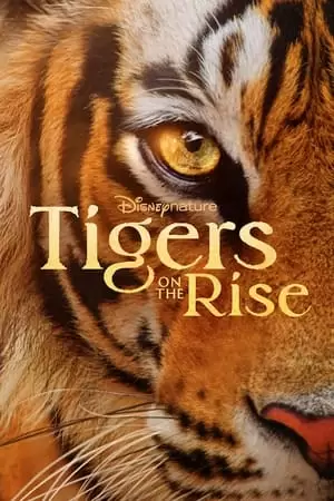 Tigers on the Rise Poster