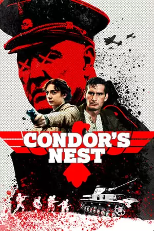 Condor's Nest Poster