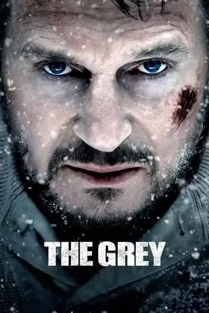 The Grey Poster