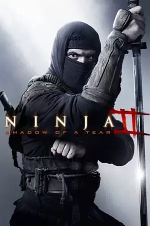 Ninja: Shadow of a Tear Poster