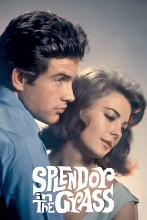 Splendor in the Grass Poster