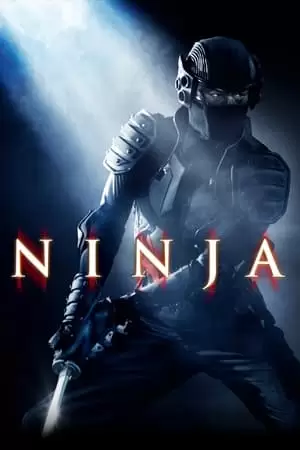 Ninja Poster