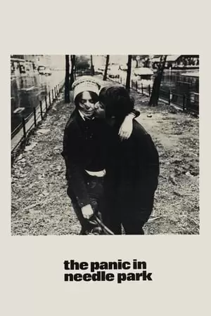 The Panic in Needle Park Poster