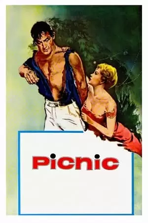 Picnic Poster