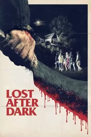 Lost After Dark Poster