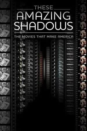 These Amazing Shadows Poster