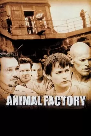 Animal Factory Poster