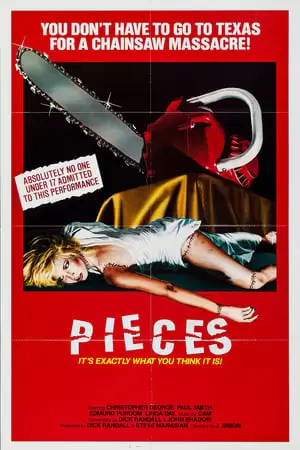 Pieces Poster