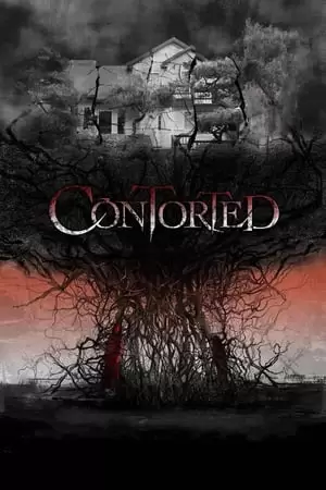 Contorted Poster