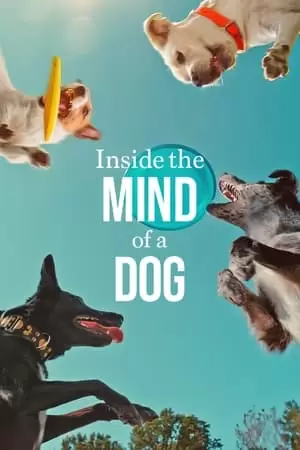 Inside the Mind of a Dog Poster