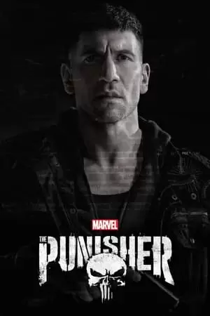 The Punisher Poster