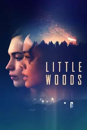 Little Woods Poster