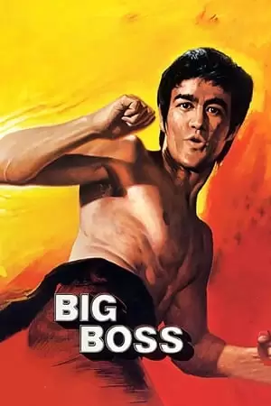 The Big Boss Poster